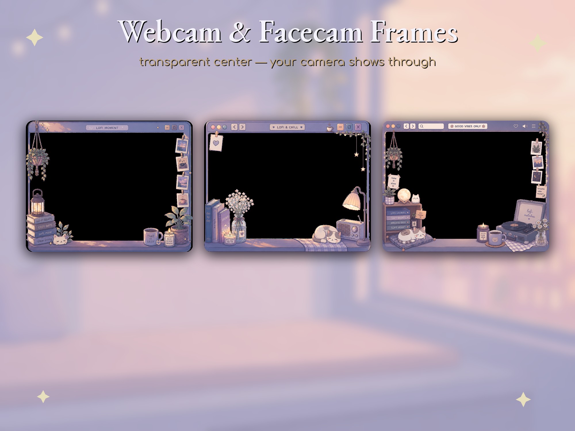 8. Webcam Frames
