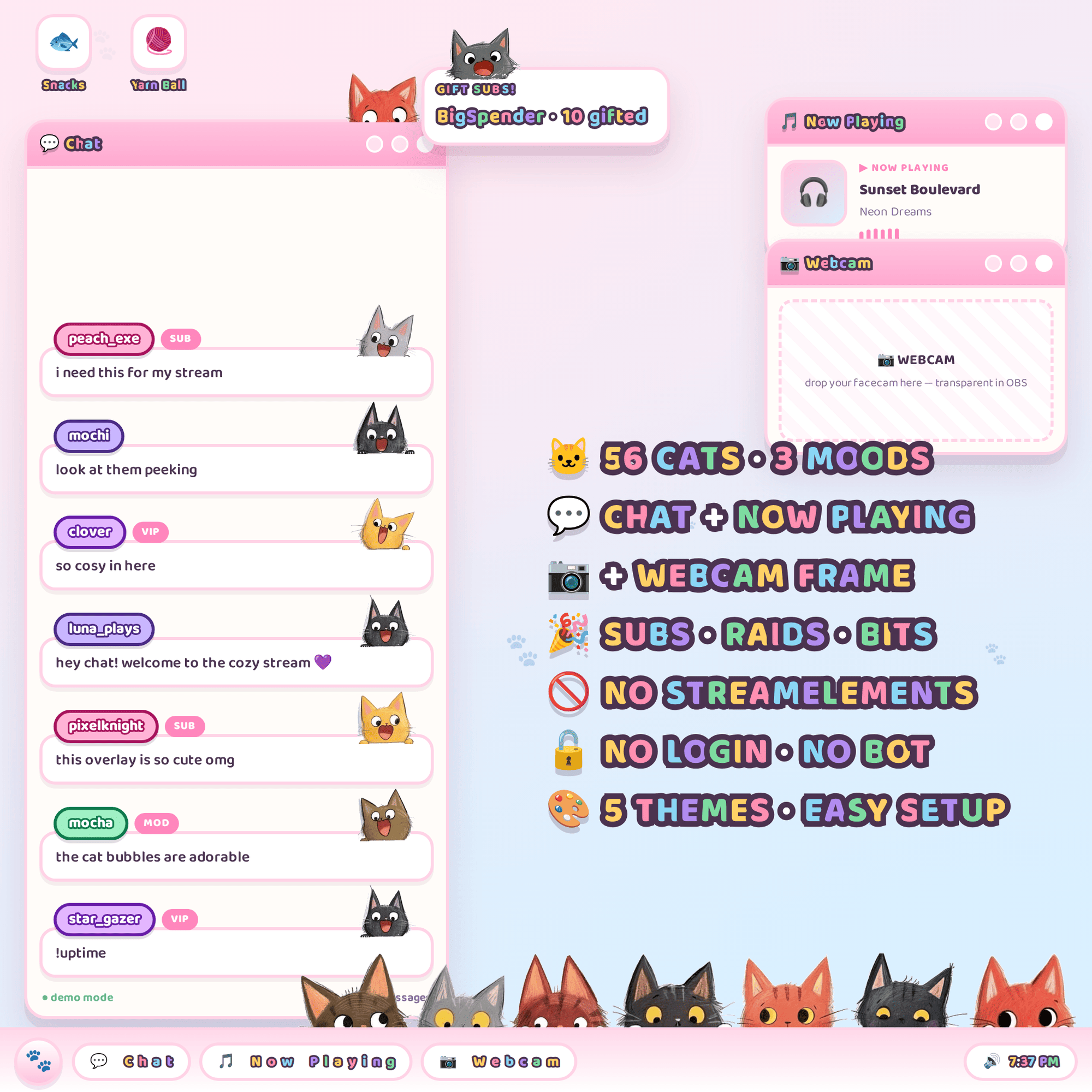Cat Stream Desktop